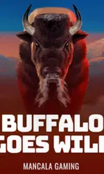 Buffalo Goes Wild